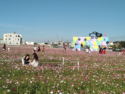 遊客帶著毛小孩穿梭花海留影