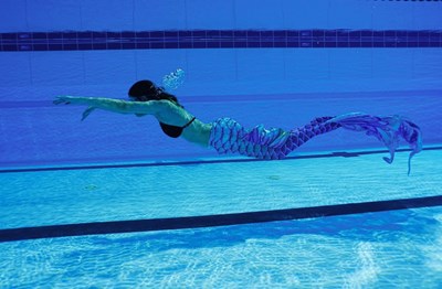「113年全國自由潛水室內錦標賽」在北區國民運動中心盛大登場