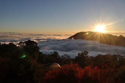 大雪山國家森林遊樂區