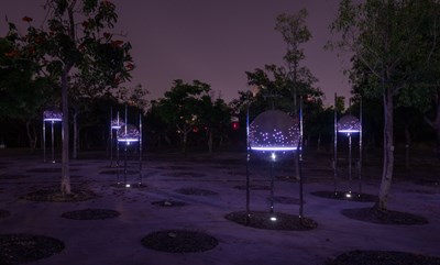 作品裝置採用自然微光,夜晚時減少對生物環境的污染