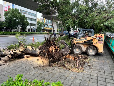 最快效率恢復市容!康芮颱風來襲 中市府跨局處合力保市民生活回歸正常