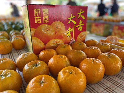 得獎果品照_0