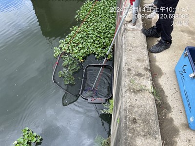 生態哨兵魚監測站