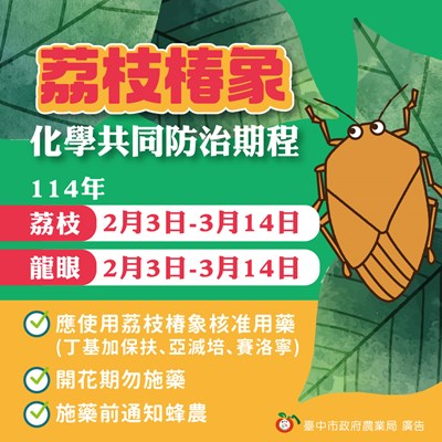 荔枝椿象防治圖卡