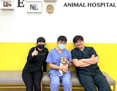 飼主感謝獸醫師堅守崗位守護毛孩