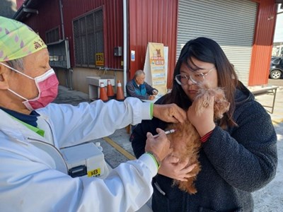 獸醫師為毛孩注射狂犬病疫苗