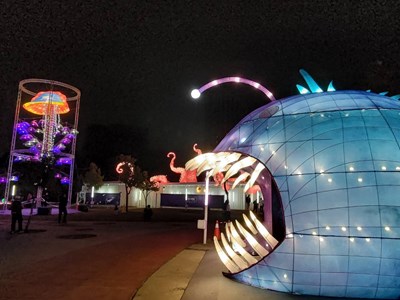 台中市政府農業局策展的「海洋奇幻冒險」受到矚目
