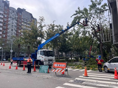 01-迎戰汛期強風豪雨！中市啟動萬株樹木修剪 全面強化都市防災網_0