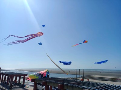 大安海洋觀光推廣活動大型風箏施放_0_0