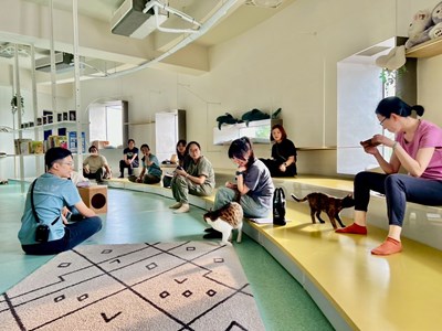找回助人初衷與療癒力量!「社工自我覺察療癒工作坊」動物之家開課 (4)