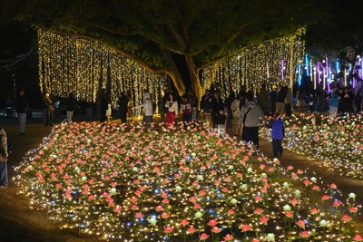 「星泉樹」燈區，以璀璨光影交織出黃金瀑布般的磅礡氣勢，並以玫瑰燈束花海點綴大地