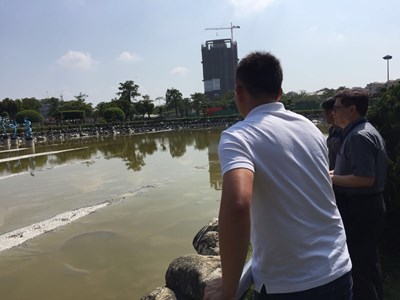 中市第二座公園清淤整治 豐樂公園仿台中公園日月湖改善水質