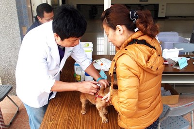 維護寵物健康       4月份狂犬病疫苗巡迴注射將開跑