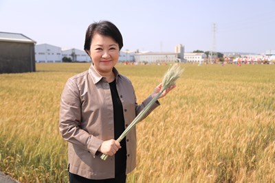 大雅小麥產業文化節登場 盧市長：歡迎民眾來都市看麥浪