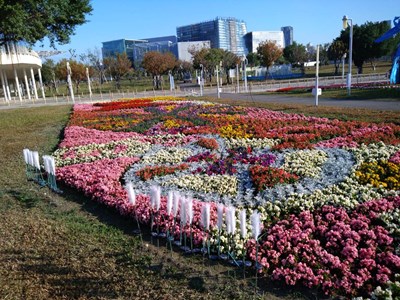 中央公園種植鮮豔的蒔花,歡迎各位市民朋友來中央公園走春_0