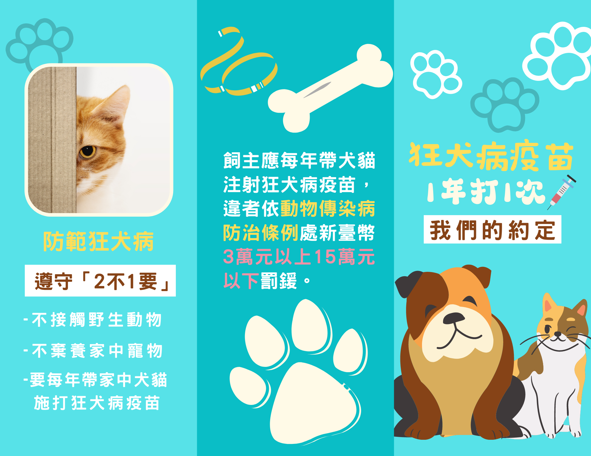 防範狂犬病請遵守「2不1要」