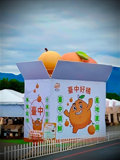 臺中好橘巨型蔬果箱乘載當季柑橘、甜柿及水梨等水果_1_0_0