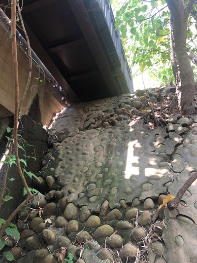 知高圳步道橋梁-受損照1_0