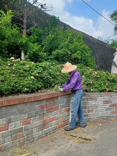 盧先生整理花圃1_0_0