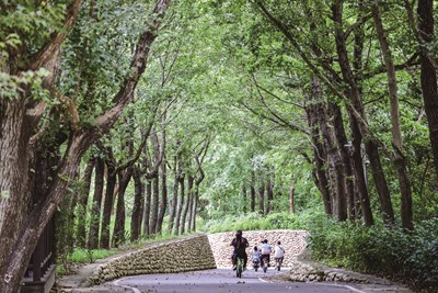 后豐鐵馬道(由臺中市政府觀光旅遊局提供)