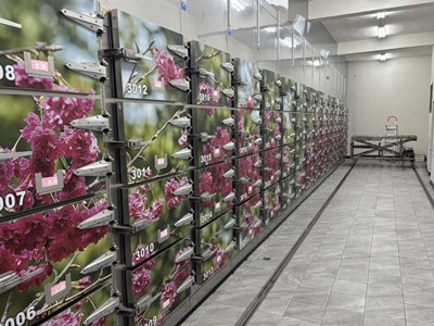 崇德殯儀館冷凍庫升降機使用無虞_0