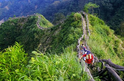大坑步道周遭具有豐富的植生景觀_0