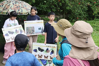 小小紫斑蝶生態志工解說_0
