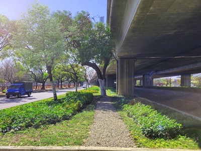 市府重視都市熱島效應-空污防制及減廢減碳等環保議題_0_0