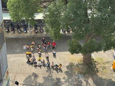 芝麻街幼兒園幼童排「芝」字向百年樟樹致敬_0_0