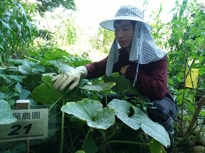 農友細心照料