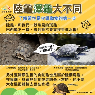 陸龜澤龜大不同