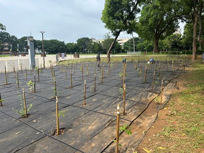 01-守護原生林相、打造城市綠洲!中市建設局啟動后里森林公園生態復育工程_0