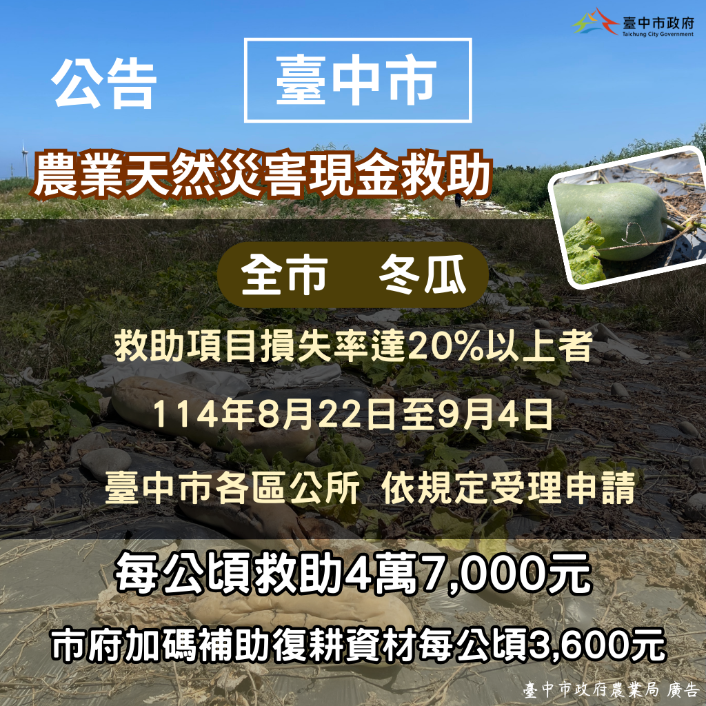 中市冬瓜災損 9月4日前可申請現金救助