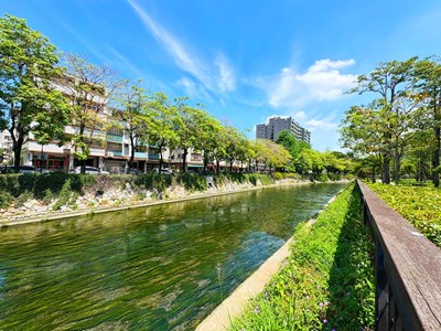 綠川興大段,以自然生態工法取代水泥河道