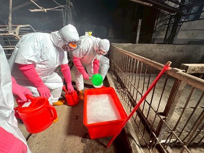 鹼片溶液具強腐蝕性 人員小心操作