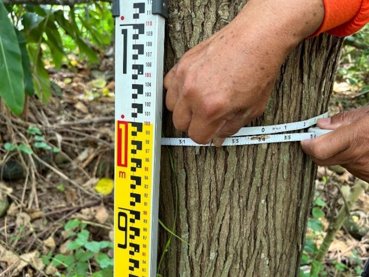 圖片來源：臺中市政府