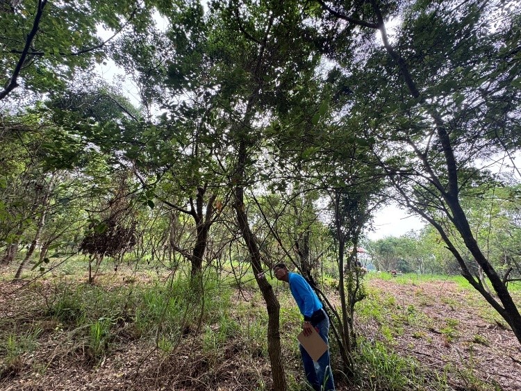 圖片來源：臺中市政府