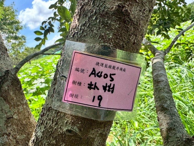 圖片來源：臺中市政府