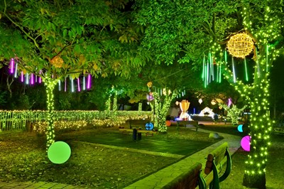 2025花漾藝術燈節打造夢幻冬季小鎮