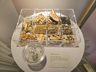 各種美容藥材，滿足你的好奇心！_0