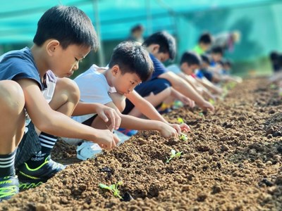 藉由農事體驗了解在地土質特色，克服貧瘠、風勢等難題_0