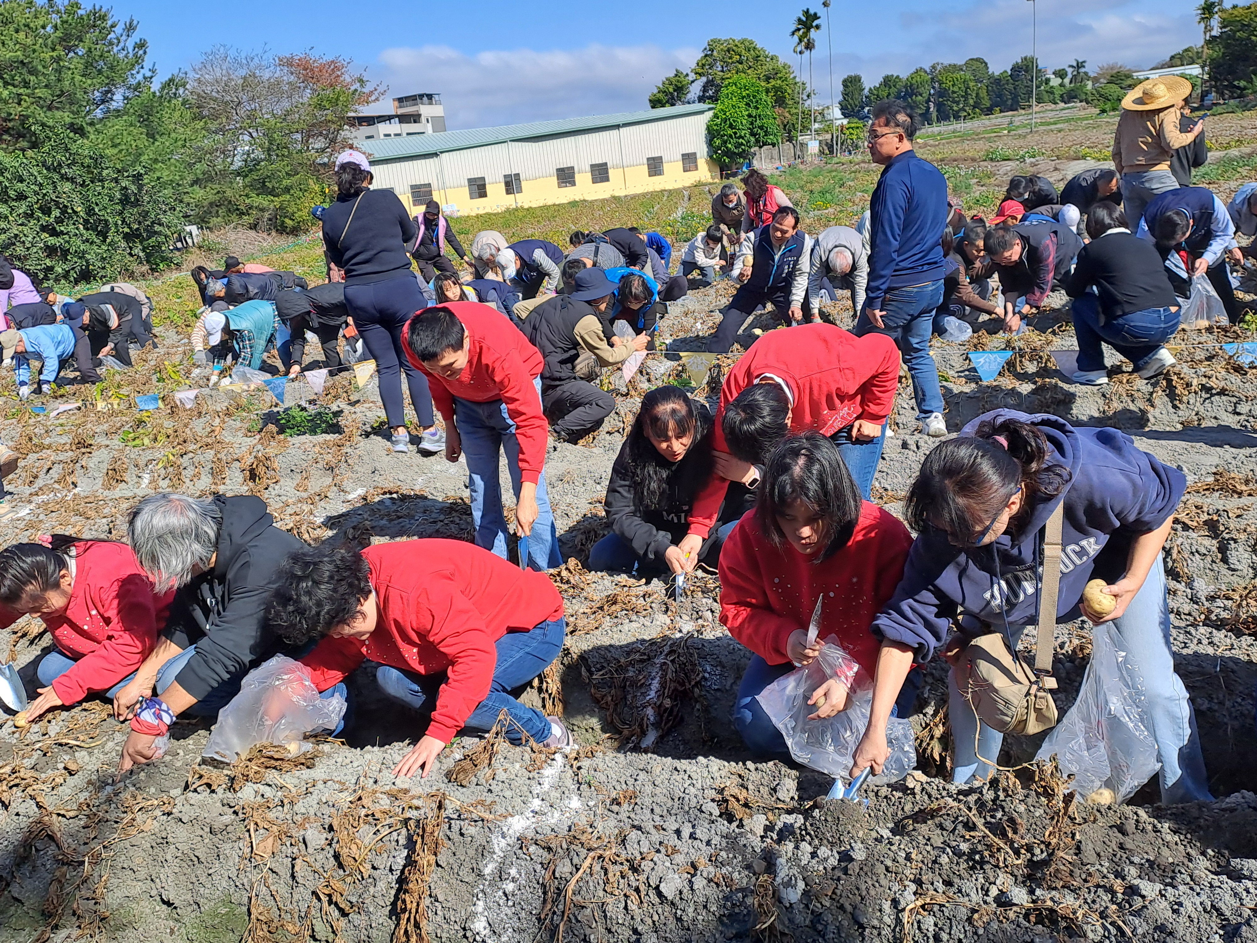 2026「搖滾馬鈴薯」產業文化推廣活動登場 走進潭子田園感受農村新魅力