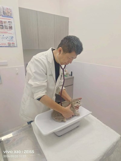 115年春節不打烊寵物服務5,666隻、急難救援94件 守護毛孩健康過好年！