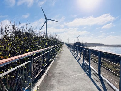 濱海自行車道-欄杆更新