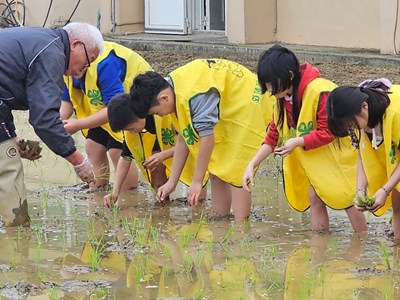 臺中市外埔區馬鳴國民小學_稻香米香食農教育_0