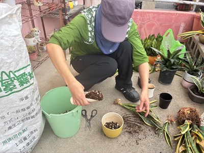 中西區清潔隊將回收之廢棄盆栽、陶瓷容器等資材進行分類整理，並搭配阿罩霧培養土重