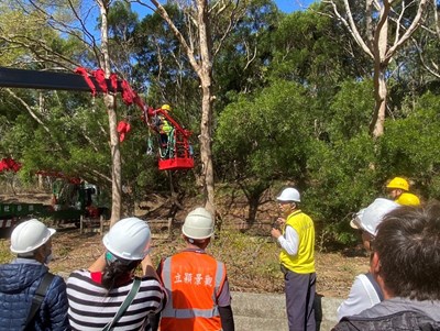01-韌性城市從「樹」開始！中市建設局培訓百名人員 精進行道樹高空修剪專業職能