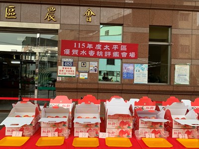 水蜜桃果品評鑑會場