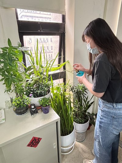 環境綠美化-辦公空間植栽綠化