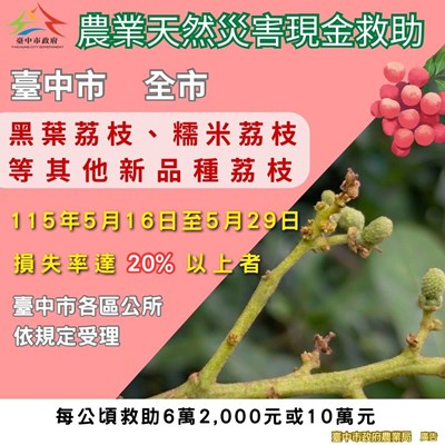 中市荔枝災損 529前可申請現金救助